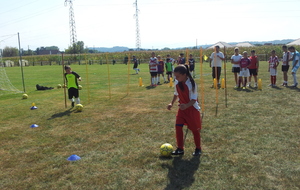 504bc195d3393_20120908_144620.jpg