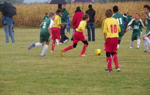 506720a4b9402_IMGP9391.JPG