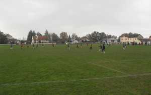 50bb45b53423c_SDC11607.JPG