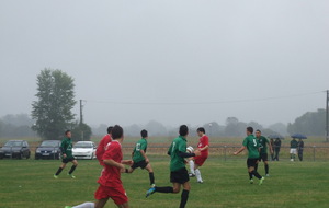 50d6e008a4961_coupe  27-10-12 011.JPG