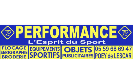 PERFORMANCE